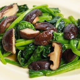 J10_ผัดปวยเล้งเจ