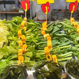 ปวยเล้ง