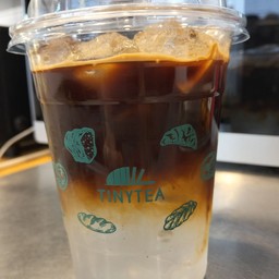 Coconat americano
