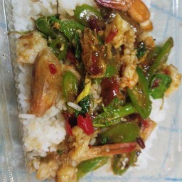 ข้าว ตามสั่งเลอไท ข้าว อาหารตามสั่ง ยำ ย่าง ต้ม ตามสั่งเลอไท(คุณหนูกระเพรา)