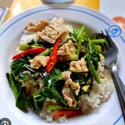 ครัวตาป๋า อาหารตามสั่ง &อาหารป่า