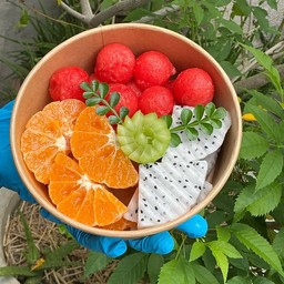 ส้มสายน้ำผึ้ง+แก้วมังกร+แตงโม