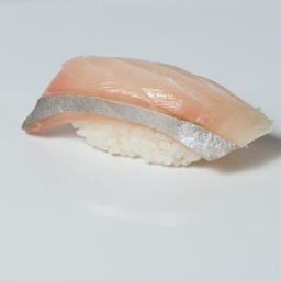 Shima Aji Nigiri