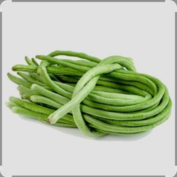 ถั่วฝักยาว