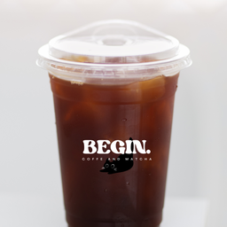 BEGIN