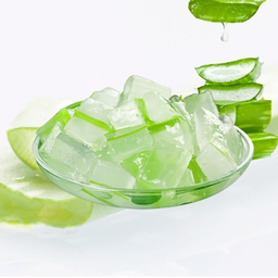 ว่านหางจระเข้ 100%