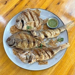 ปลาทอด4สหาย