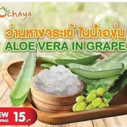 ว่านหางจระเข้ในน้ำองุ่น