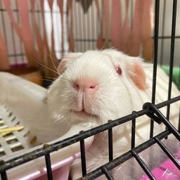 ทิปให้น้องขิม หนูขี้เกียจ