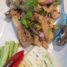 น้ำตกคอหมูย่าง