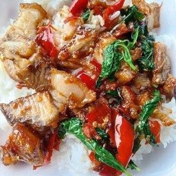 กะเพราหมูกรอบ