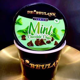 [Best Seller] Mint Chocolate Chips 1 Cups Gelato