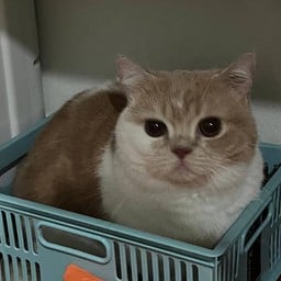 ทิปให้น้องกล้วย