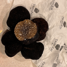 Fresh Truffle