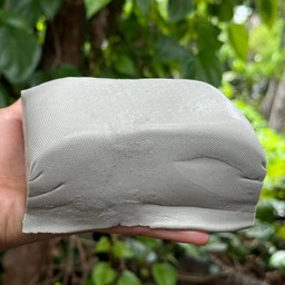 เต้ยหู้ทอด สลัดโรล นาป่า