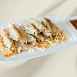 Passionate Chiang Mai