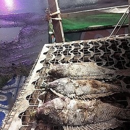 กล้วยทอดเจ้านาง แม่โจ้ สาขา1