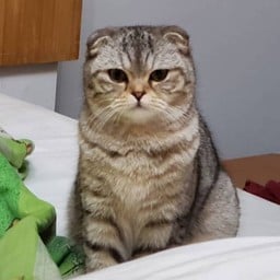 ทิปให้น้องมะพร้าว