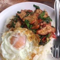 กะเพราะเป็ดย่าง + หมูแดง