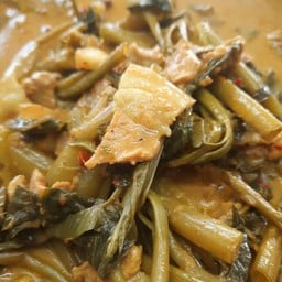 ร้านแกงใต้(สงขลา)