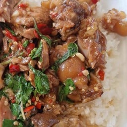 กะเพราขาหมูตุ๋น