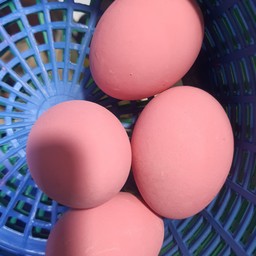 ไข่เยี่ยวม้า