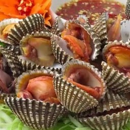 หอยแครงลวก