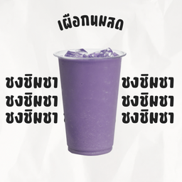 เผือกนมสด