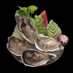 ซาซิมิหอยนางรมญี่ปุ่น