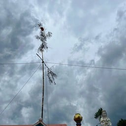 มูลนิธิไฉ่ซิ่งเอี๋ย