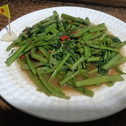 ผักบุ้งไฟแดง เจ