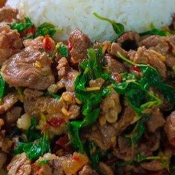 กะเพราเนื้อ ราดข้าว