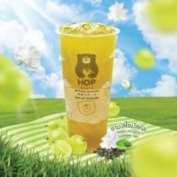 ชามะลิไซมัสคัส