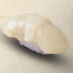 หอยเชลล์