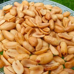 ถั่วลิสง