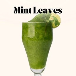 ใบมินต์