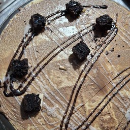 นูเทลล่า+บราวนี่