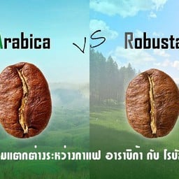 Punch it healthy cafe