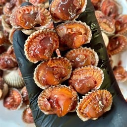 เพิ่มหอยแครง