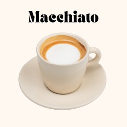 มัคคิอาโต้