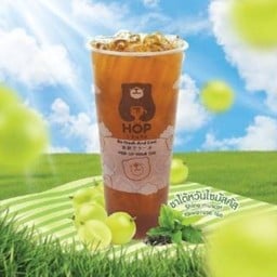 ชาไต้หวันไซมัสคัส