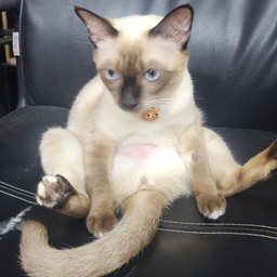 ให้ทิปน้องคาราเมล