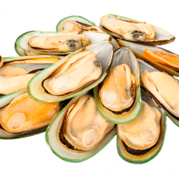 หอยแมลงภู่