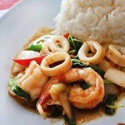 กระเพราทะเล