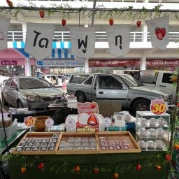 ไดฟูกุปั้นสด ( ตลาดนัดตรีสุข-ถูกดี )