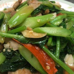 ผัดคะน้าน้ำมันหอยหมูชิ้น