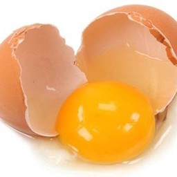 ไข่ไก่(#52)