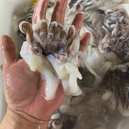 ปลาหมึกหัวผ่า ครึ่งกิโล