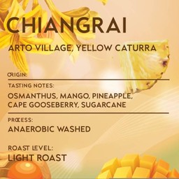 Chiangrai Arto village, yellow caturra, Anaerobic washed