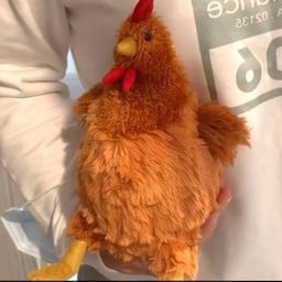 Big Chicken